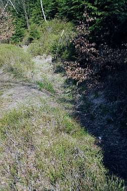 Silberteich bei Braunlage Oberharzer Wasserwirtschaft Bilder